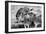 Awesome South Africa Collection B&W - Group of Common Zebras-Philippe Hugonnard-Framed Photographic Print