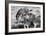 Awesome South Africa Collection B&W - Group of Common Zebras-Philippe Hugonnard-Framed Photographic Print