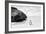 Awesome South Africa Collection B&W - Penguin at Boulders Beach II-Philippe Hugonnard-Framed Photographic Print