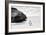 Awesome South Africa Collection B&W - Penguin at Boulders Beach II-Philippe Hugonnard-Framed Photographic Print