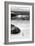 Awesome South Africa Collection B&W-Penguin at Boulders Beach-Philippe Hugonnard-Framed Photographic Print