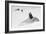 Awesome South Africa Collection B&W - Penguin Lovers II-Philippe Hugonnard-Framed Photographic Print