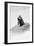 Awesome South Africa Collection B&W - Penguin Lovers III-Philippe Hugonnard-Framed Photographic Print