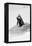 Awesome South Africa Collection B&W - Penguin Lovers III-Philippe Hugonnard-Framed Premier Image Canvas