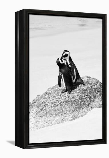 Awesome South Africa Collection B&W - Penguin Lovers III-Philippe Hugonnard-Framed Premier Image Canvas