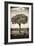 Awesome South Africa Collection B&W - Portrait of an Acacia Tree-Philippe Hugonnard-Framed Photographic Print