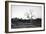 Awesome South Africa Collection B&W - Three Cape Vultures on Acacia Tree II-Philippe Hugonnard-Framed Photographic Print