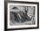 Awesome South Africa Collection B&W - Two White Rhino slepping-Philippe Hugonnard-Framed Photographic Print