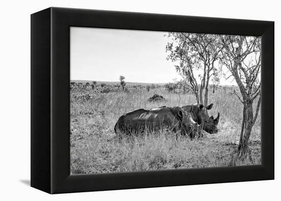 Awesome South Africa Collection B&W - Two White Rhinoceros I-Philippe Hugonnard-Framed Premier Image Canvas