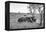 Awesome South Africa Collection B&W - Two White Rhinoceros I-Philippe Hugonnard-Framed Premier Image Canvas