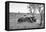 Awesome South Africa Collection B&W - Two White Rhinoceros I-Philippe Hugonnard-Framed Premier Image Canvas