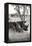 Awesome South Africa Collection B&W - Two White Rhinoceros II-Philippe Hugonnard-Framed Premier Image Canvas