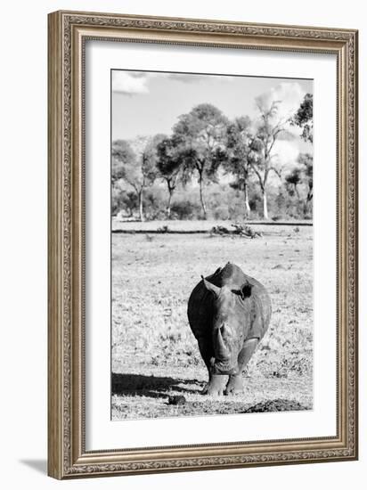 Awesome South Africa Collection B&W - White Rhino-Philippe Hugonnard-Framed Photographic Print