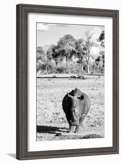 Awesome South Africa Collection B&W - White Rhino-Philippe Hugonnard-Framed Photographic Print