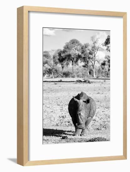 Awesome South Africa Collection B&W - White Rhino-Philippe Hugonnard-Framed Photographic Print