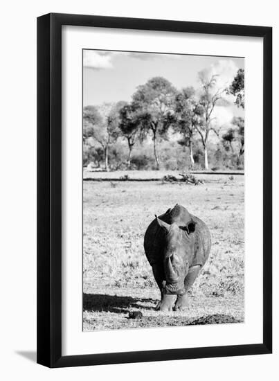 Awesome South Africa Collection B&W - White Rhino-Philippe Hugonnard-Framed Photographic Print