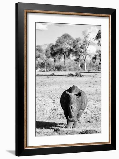 Awesome South Africa Collection B&W - White Rhino-Philippe Hugonnard-Framed Photographic Print