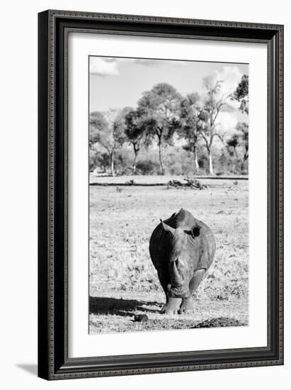 Awesome South Africa Collection B&W - White Rhino-Philippe Hugonnard-Framed Photographic Print