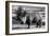 Awesome South Africa Collection B&W - White Rhinoceros-Philippe Hugonnard-Framed Photographic Print