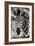 Awesome South Africa Collection B&W - Zebra Portrait-Philippe Hugonnard-Framed Photographic Print