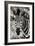 Awesome South Africa Collection B&W - Zebra Portrait-Philippe Hugonnard-Framed Photographic Print