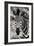 Awesome South Africa Collection B&W - Zebra Portrait-Philippe Hugonnard-Framed Photographic Print