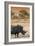 Awesome South Africa Collection - Black Rhinoceros and Savanna Landscape at Sunset I-Philippe Hugonnard-Framed Photographic Print