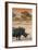 Awesome South Africa Collection - Black Rhinoceros and Savanna Landscape at Sunset I-Philippe Hugonnard-Framed Photographic Print