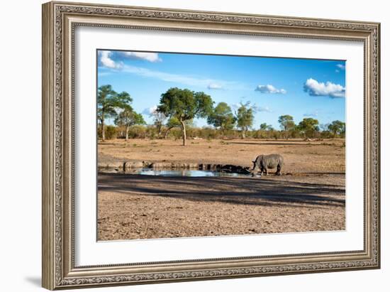 Awesome South Africa Collection - Black Rhinoceros and Savanna Landscape at Sunset-Philippe Hugonnard-Framed Photographic Print