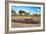 Awesome South Africa Collection - Black Rhinoceros and Savanna Landscape at Sunset-Philippe Hugonnard-Framed Photographic Print