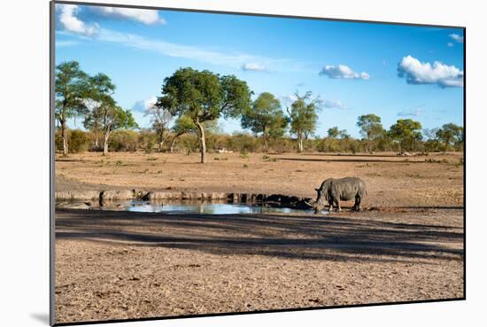 Awesome South Africa Collection - Black Rhinoceros and Savanna Landscape at Sunset-Philippe Hugonnard-Mounted Photographic Print