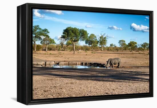 Awesome South Africa Collection - Black Rhinoceros and Savanna Landscape at Sunset-Philippe Hugonnard-Framed Premier Image Canvas