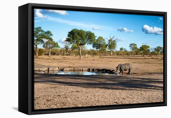 Awesome South Africa Collection - Black Rhinoceros and Savanna Landscape at Sunset-Philippe Hugonnard-Framed Premier Image Canvas