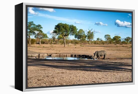 Awesome South Africa Collection - Black Rhinoceros and Savanna Landscape at Sunset-Philippe Hugonnard-Framed Premier Image Canvas