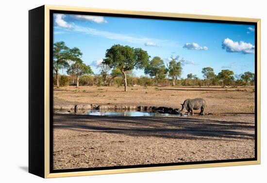 Awesome South Africa Collection - Black Rhinoceros and Savanna Landscape at Sunset-Philippe Hugonnard-Framed Premier Image Canvas