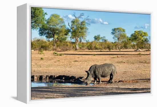 Awesome South Africa Collection - Black Rhinoceros and Savanna Landscape-Philippe Hugonnard-Framed Premier Image Canvas