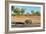 Awesome South Africa Collection - Black Rhinoceros and Savanna Landscape-Philippe Hugonnard-Framed Photographic Print