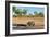Awesome South Africa Collection - Black Rhinoceros and Savanna Landscape-Philippe Hugonnard-Framed Photographic Print