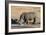 Awesome South Africa Collection - Black Rhinoceros II-Philippe Hugonnard-Framed Photographic Print