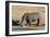 Awesome South Africa Collection - Black Rhinoceros II-Philippe Hugonnard-Framed Photographic Print