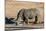 Awesome South Africa Collection - Black Rhinoceros II-Philippe Hugonnard-Mounted Photographic Print