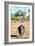 Awesome South Africa Collection - Black Rhinoceros-Philippe Hugonnard-Framed Photographic Print