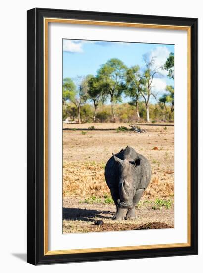 Awesome South Africa Collection - Black Rhinoceros-Philippe Hugonnard-Framed Photographic Print