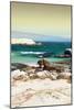 Awesome South Africa Collection - Boulders Beach at Sunset - Cape Town II-Philippe Hugonnard-Mounted Photographic Print