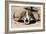 Awesome South Africa Collection - Buffalo Bone-Philippe Hugonnard-Framed Photographic Print