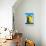 Awesome South Africa Collection - Colorful Beach Hut Cape Town - Yellow & Minight Blue-Philippe Hugonnard-Photographic Print displayed on a wall