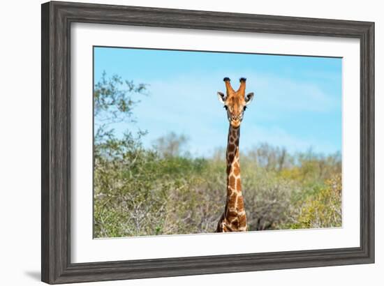 Awesome South Africa Collection - Giraffe Portrait-Philippe Hugonnard-Framed Photographic Print