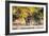 Awesome South Africa Collection - Hyena at Sunset-Philippe Hugonnard-Framed Photographic Print