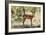 Awesome South Africa Collection - Impala Buck-Philippe Hugonnard-Framed Photographic Print