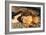 Awesome South Africa Collection - Lion Sleeping at Sunset I-Philippe Hugonnard-Framed Photographic Print